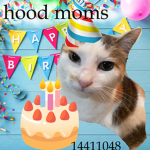 hood moms
