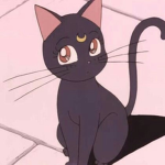 Luna's Chating group