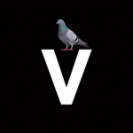 Various Pigeon Studio