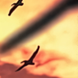 🦅