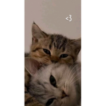 AmigosRB$