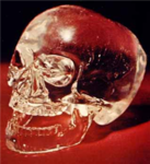 Skelton Warriors