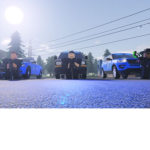 Liverie designers
