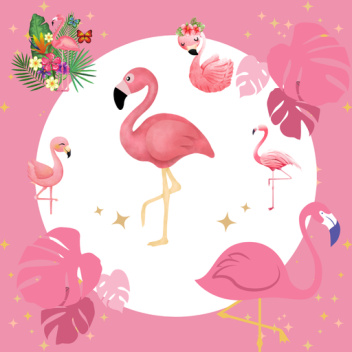 flamingo fun!!!