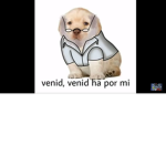 hola amigos ;D