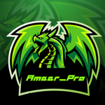 PRO_max_Ameer