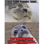 funny seal