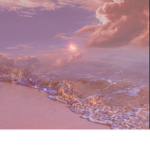 BeachSoul Aesthetic Group!!