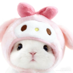 bunny glory