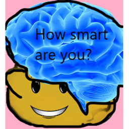 Test your brain capacity!