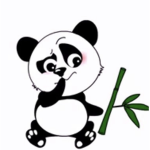 •Panda sQuad
