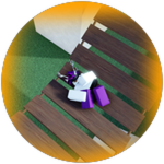 Ragdoll