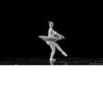 Best ballerina's