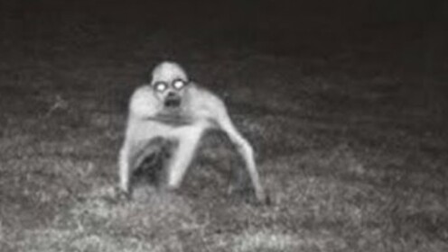 The Rake 