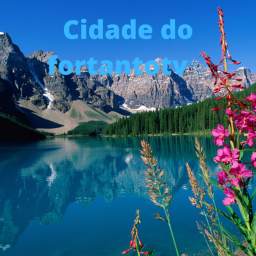Cidade do fortantotv