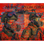ratnik division