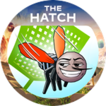 The Hatch