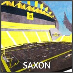 Sunbirds: California Memorial Stadium