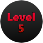 Level 5