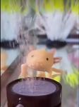 Axolotl fan group2