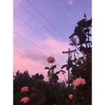 always alone...