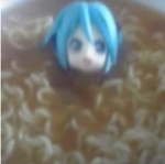 メオワス猫