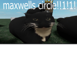 KATS AND MORE CATS