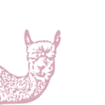 LAZY LLAMA Productions