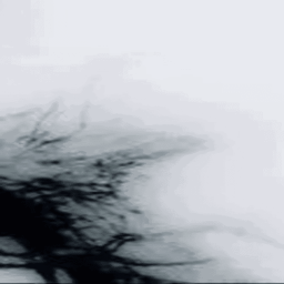 ♱