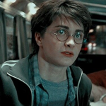 Harry Potter Fans-
