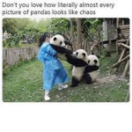 Cube Pandas