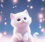 cute cat meow