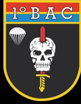 Batalhão de ações de comandos do exército
