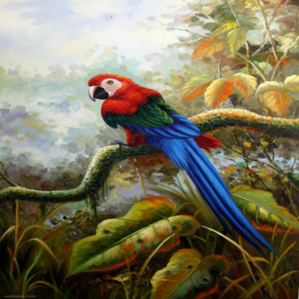 Bird painting Roblox decal