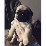 Stefania050311