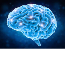 Big Brain Waterpark