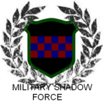 Military Shadow Forces
