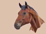 EQUESTRIAN EVENTING GROUP