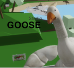 GOOSE_studio