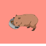 Bacon bear Studios