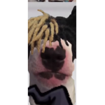 Marcos boiiiii