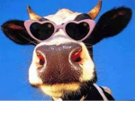 DOUG'S DAIRY FARM