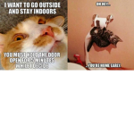 meow1234567890