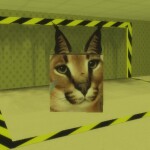 (FLOPPA) Backrooms Experience