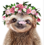 Sloths are everything