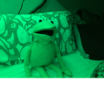 Kermet the froooog