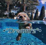-*+the dreamerz-*+