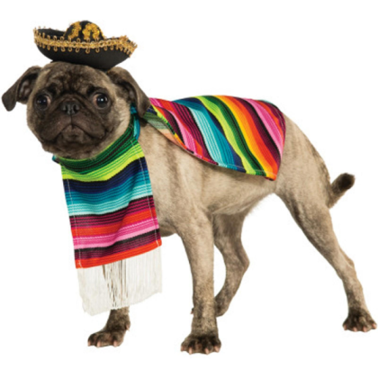 Mexican Dog Roblox decal
