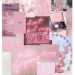 shirts_bio