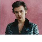 Harry Styles Army